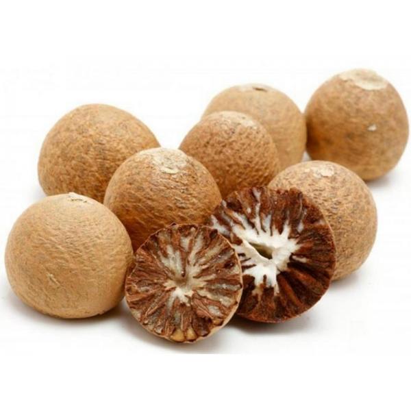 betelnyiy_oreh_plodyi_areka_katehu_areca_catechu-25-B
